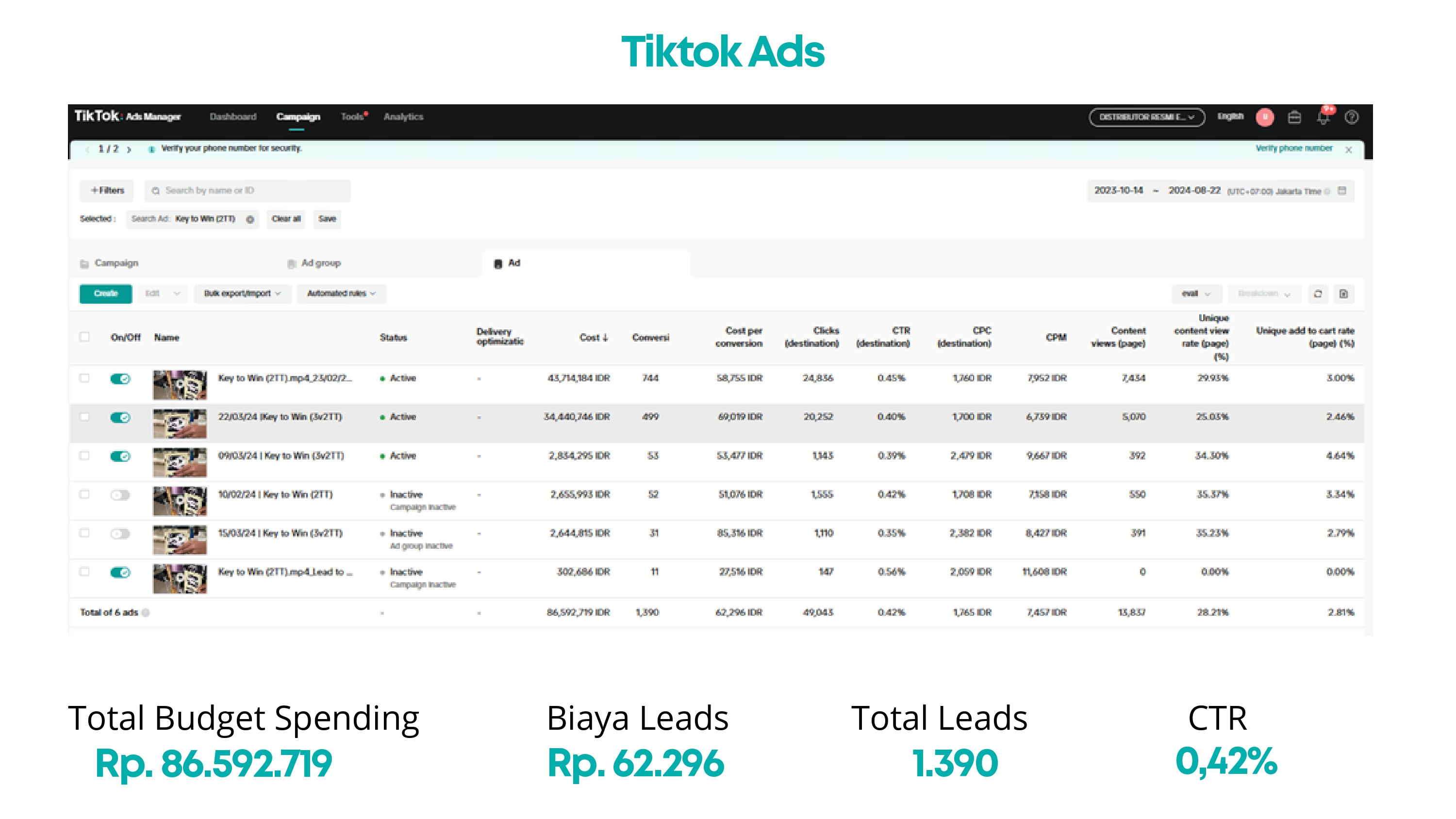 Gambar Portofolio Tiktok Ads dan Shop Herbal